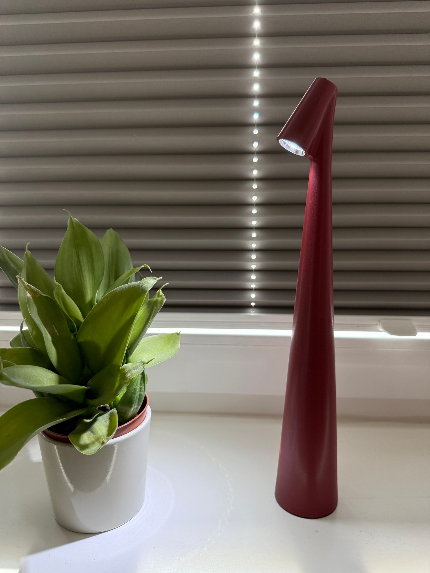 Crimson Cone – Minimalistisch & Farbintensiv