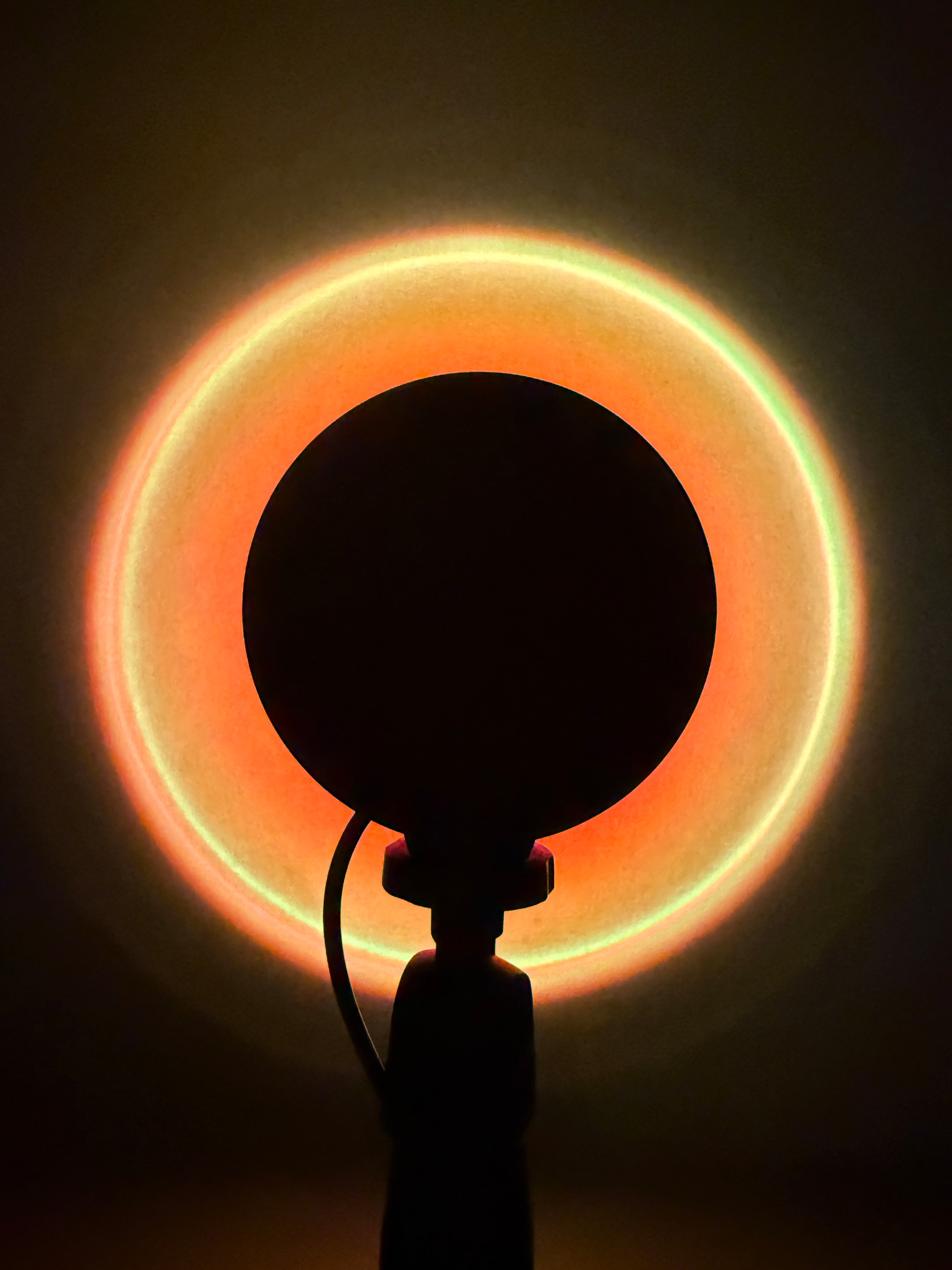 Limitierte Sunset Bloom LED Lampe – warmes Moodlight im Sommer