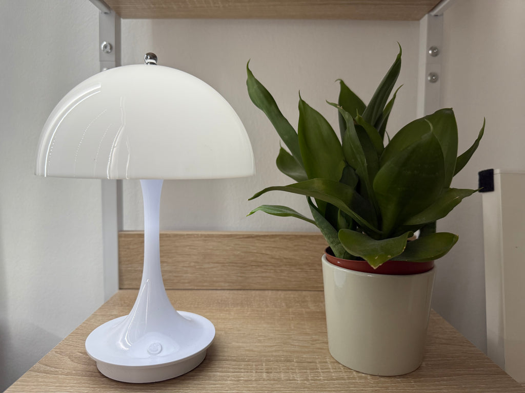 „Pure Glow“ – Die weiße Design-Pilzlampe