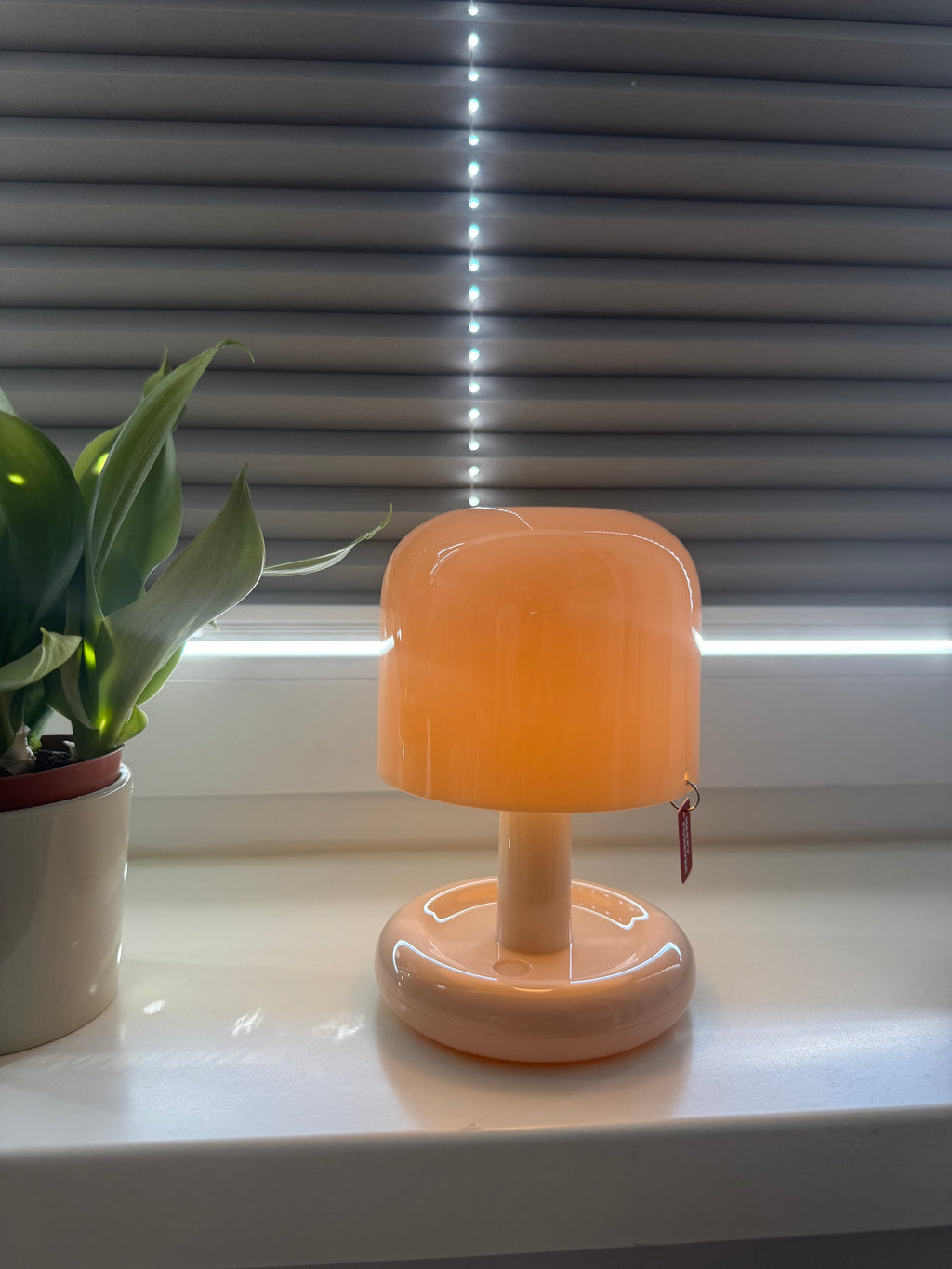 Happy Glow XL – Pilz-LED-Lampe