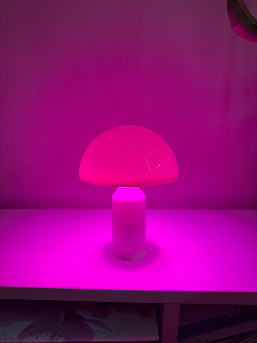 Limitierte Mushroom Groove Pilzlampe – bunt & perfekt im Sommer