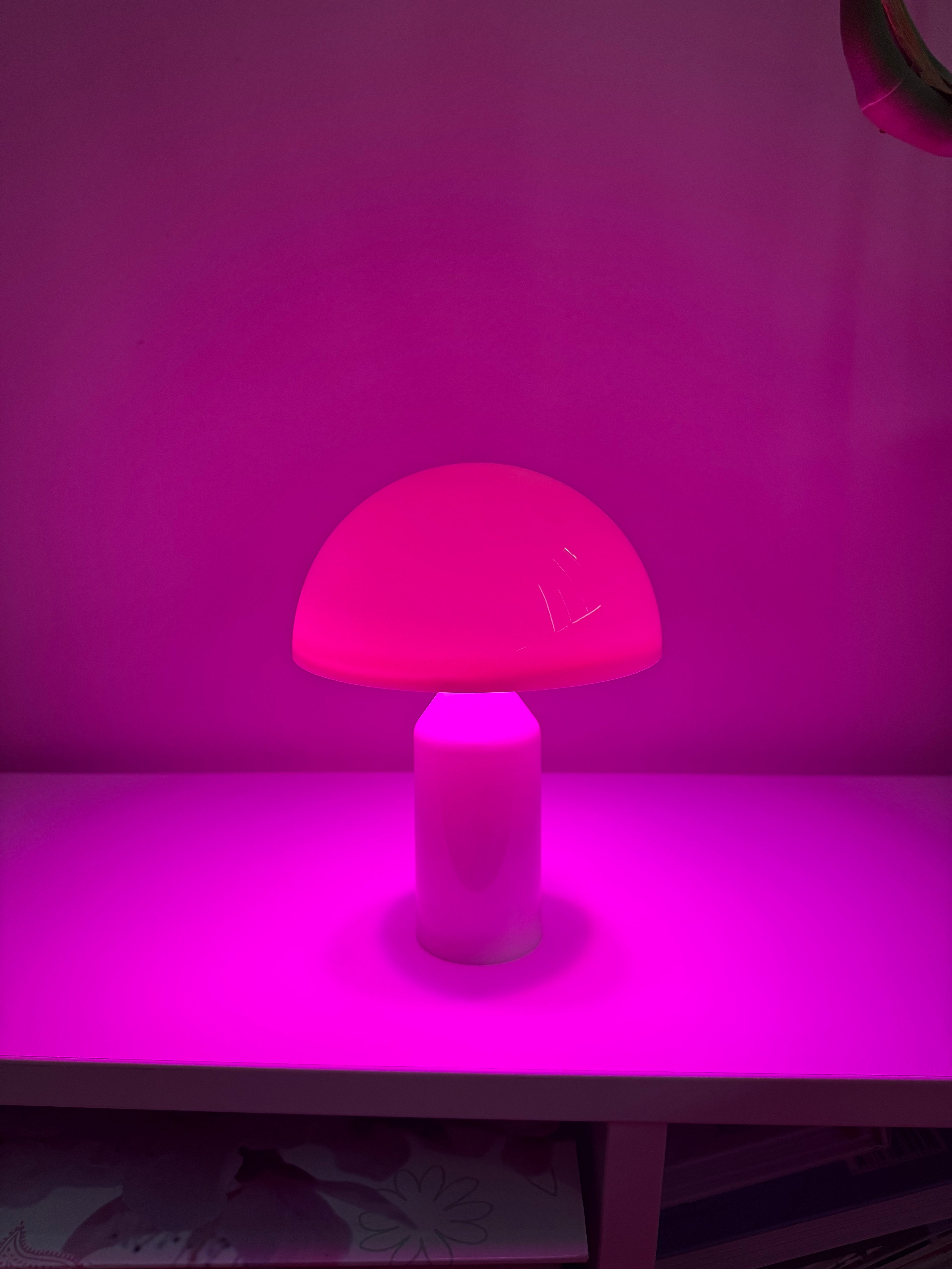 Limitierte Mushroom Groove Pilzlampe – bunt & perfekt im Sommer