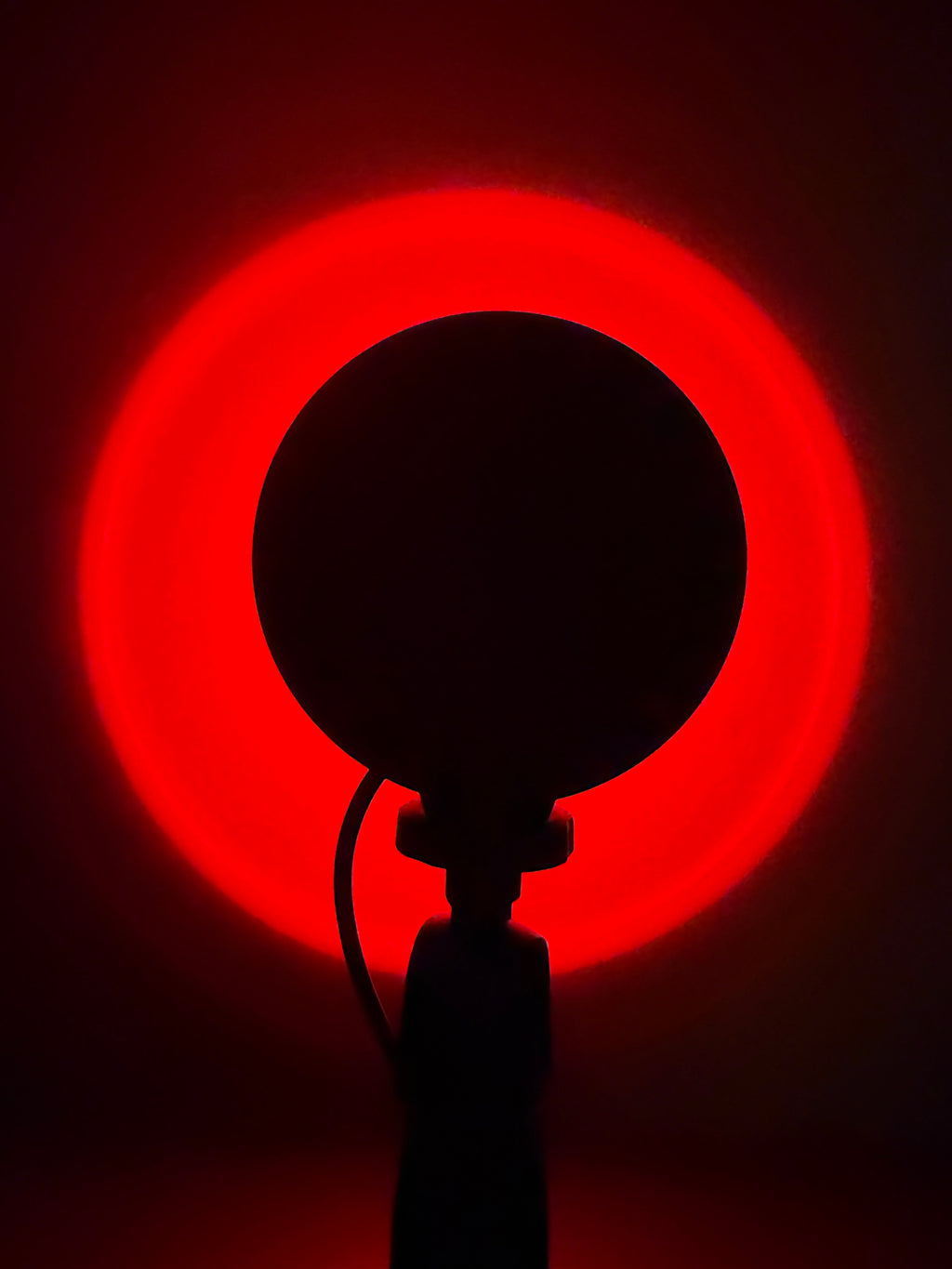 Limitierte Sunset Bloom LED Lampe – warmes Moodlight im Sommer