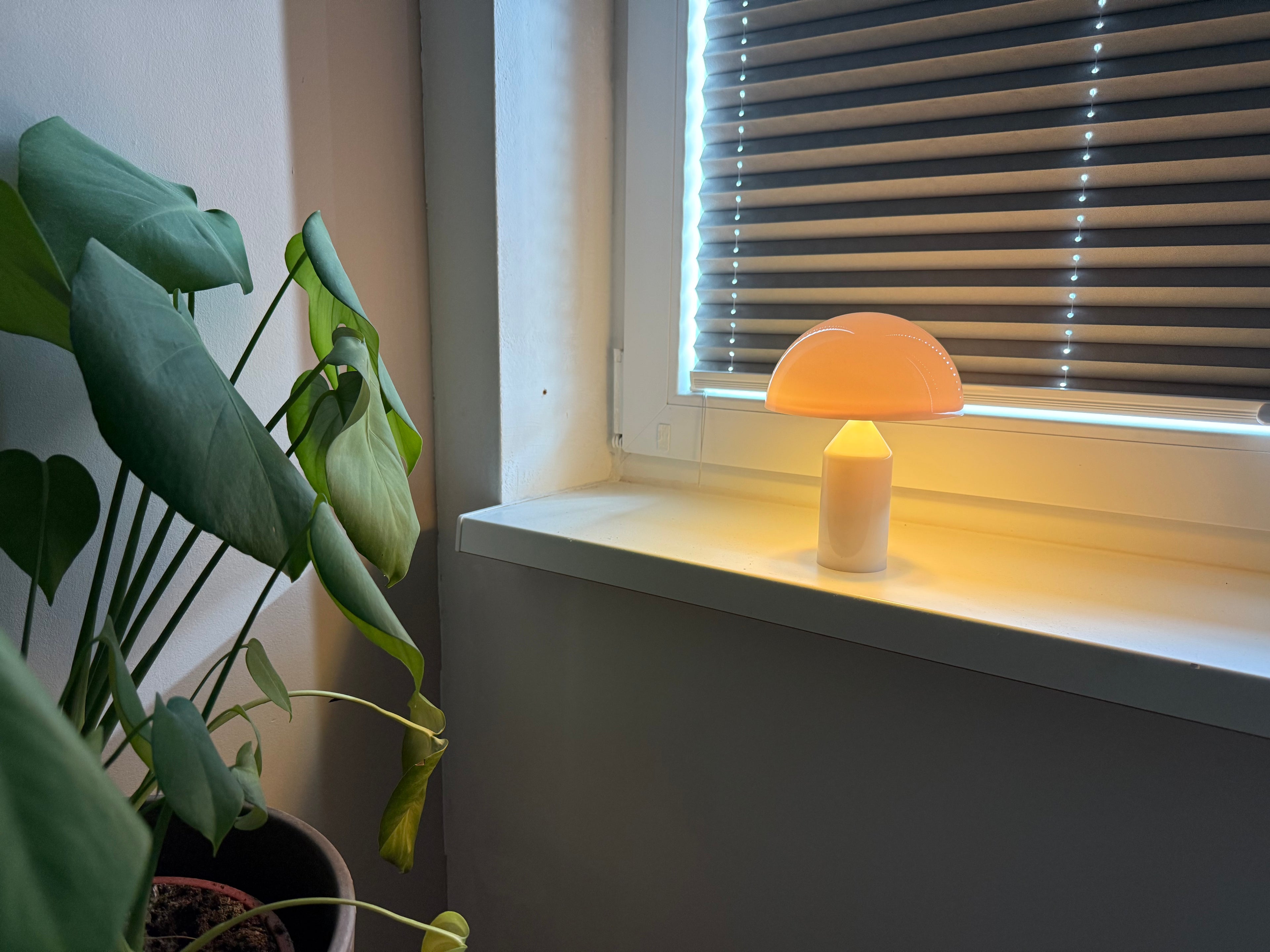 Limitierte Mushroom Groove Pilzlampe – bunt & perfekt im Sommer