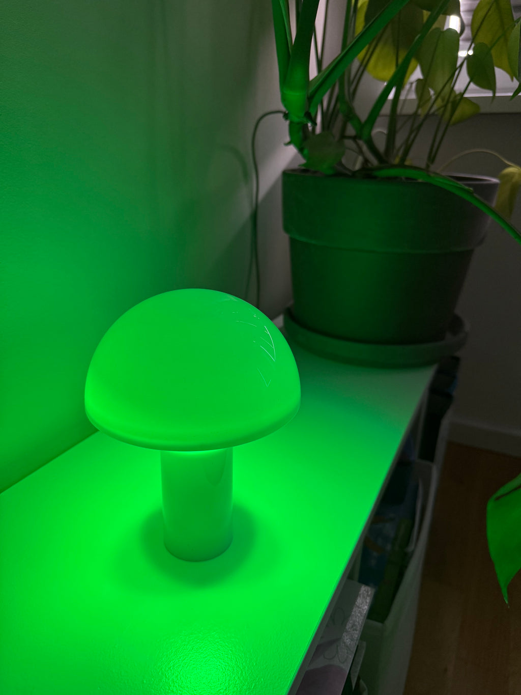 Limitierte Mushroom Groove Pilzlampe – bunt & perfekt im Sommer