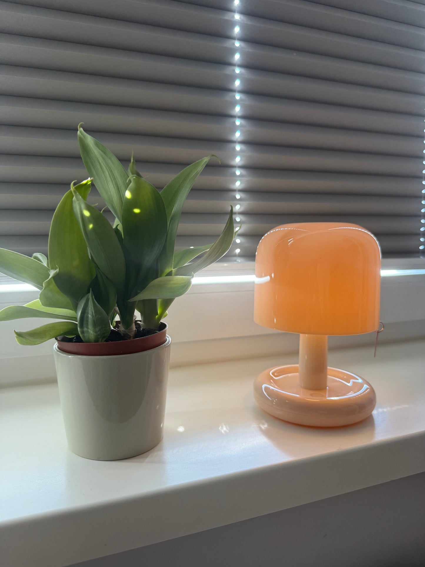 Happy Glow XL – Pilz-LED-Lampe