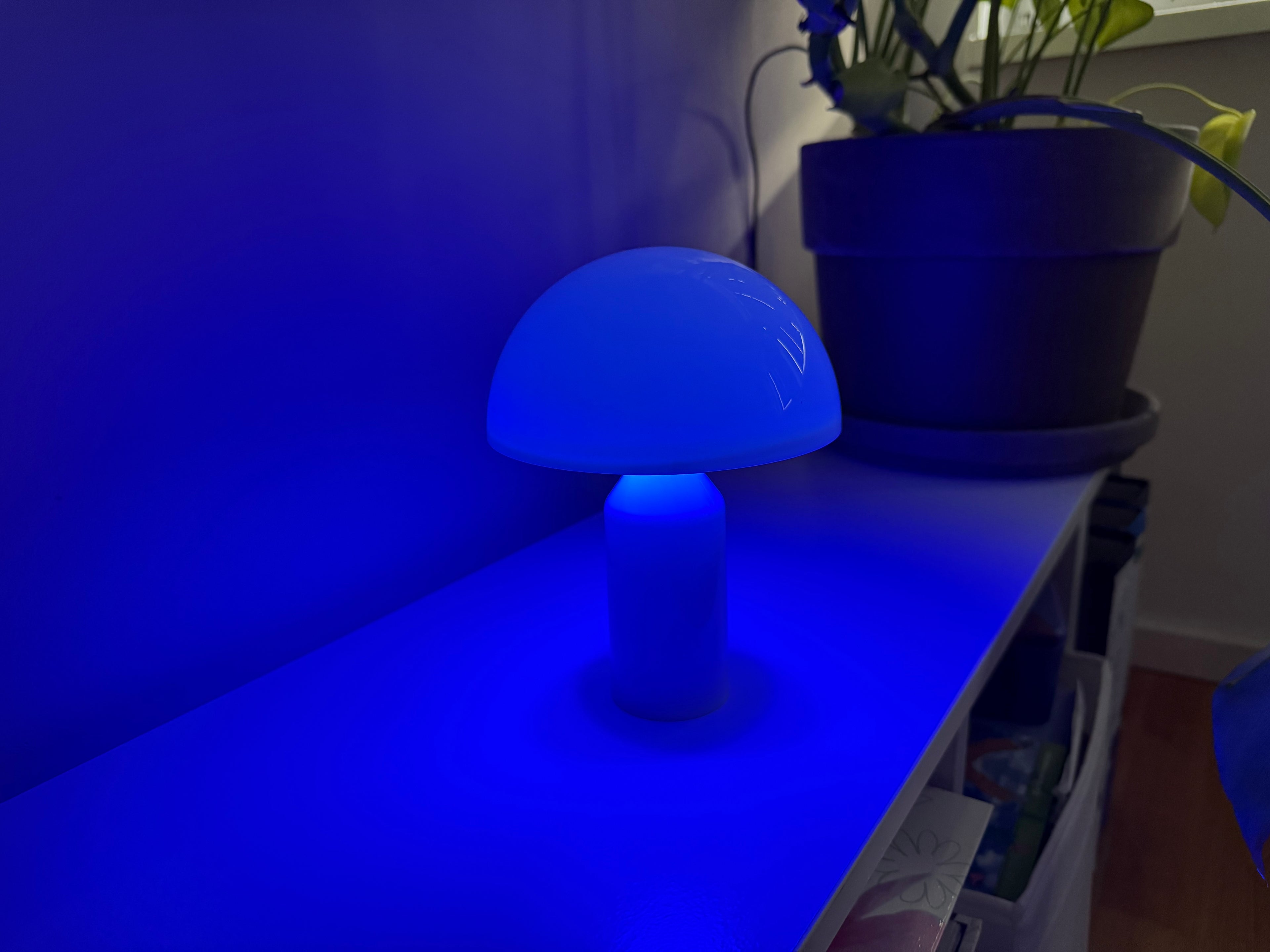 Limitierte Mushroom Groove Pilzlampe – bunt & perfekt im Sommer