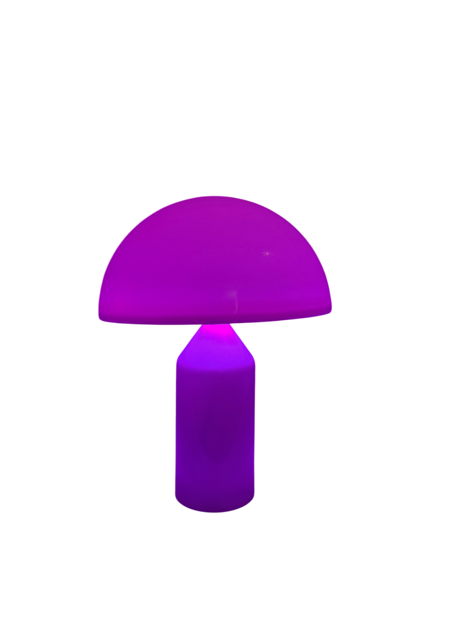 Limitierte Mushroom Groove Pilzlampe – bunt & perfekt im Sommer