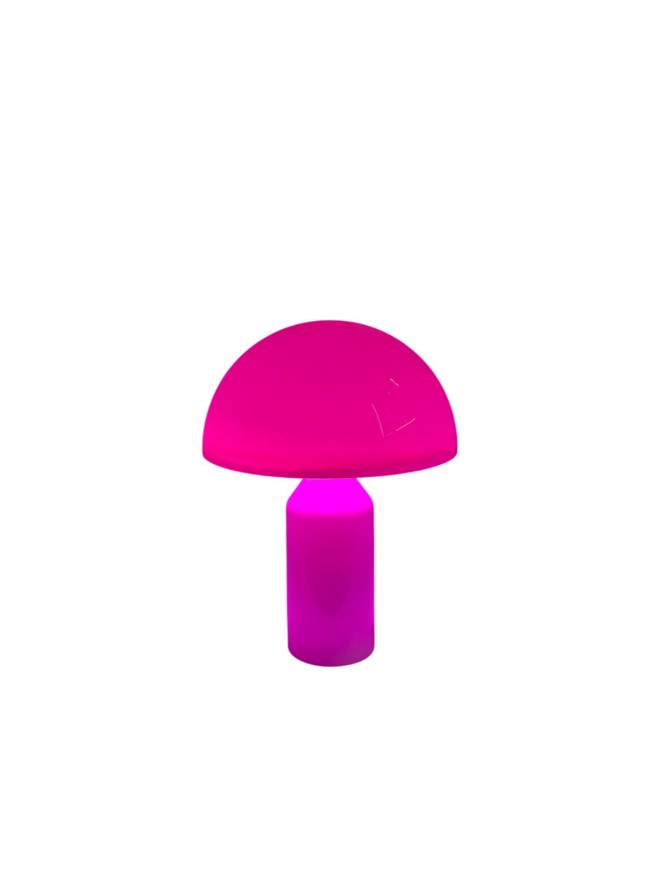 Limitierte Mushroom Groove Pilzlampe – bunt & perfekt im Sommer