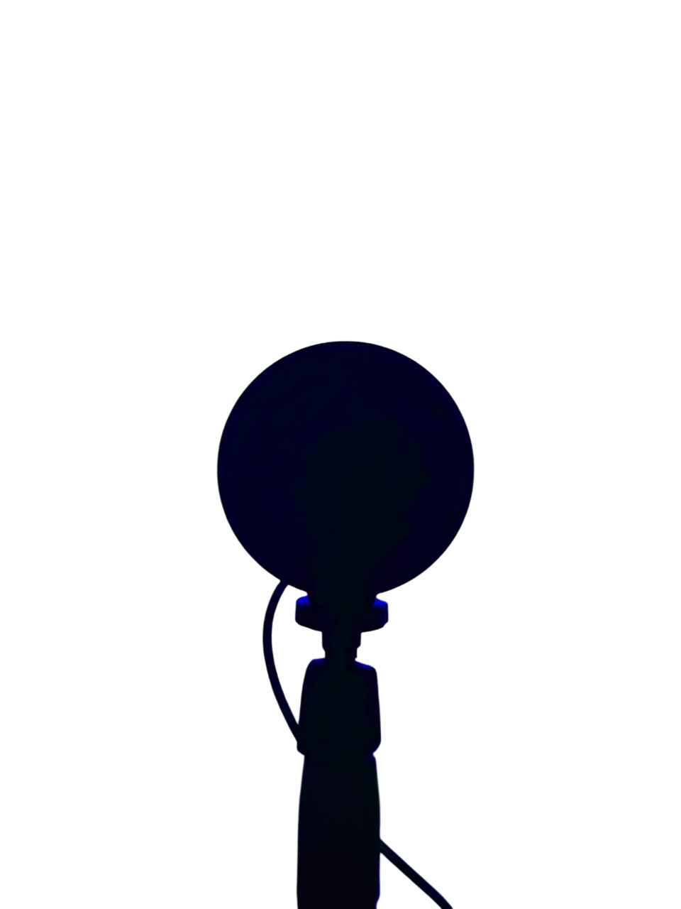 Limitierte Sunset Bloom LED Lampe – warmes Moodlight im Sommer