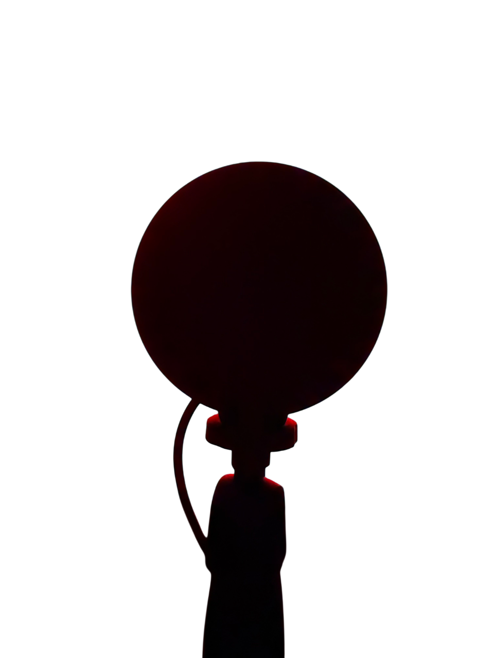 Limitierte Sunset Bloom LED Lampe – warmes Moodlight im Sommer